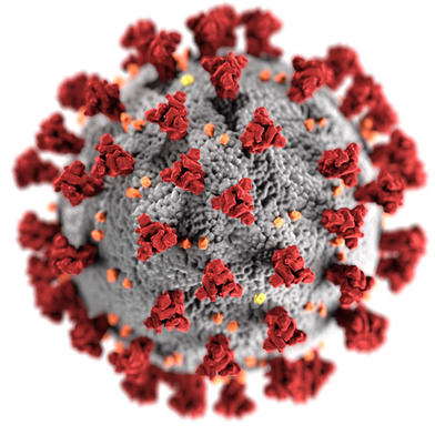 Coronavirus-2019Centers-for-Disease-Control-and-Prevention's-Public-Health-Image-Library.jpg
